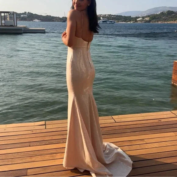 Alex Perry Gold Maxi Dress - Picture 2 of 11